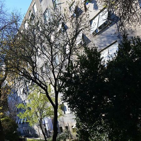 Studio Two Roses Apartment Split Bagian luar foto