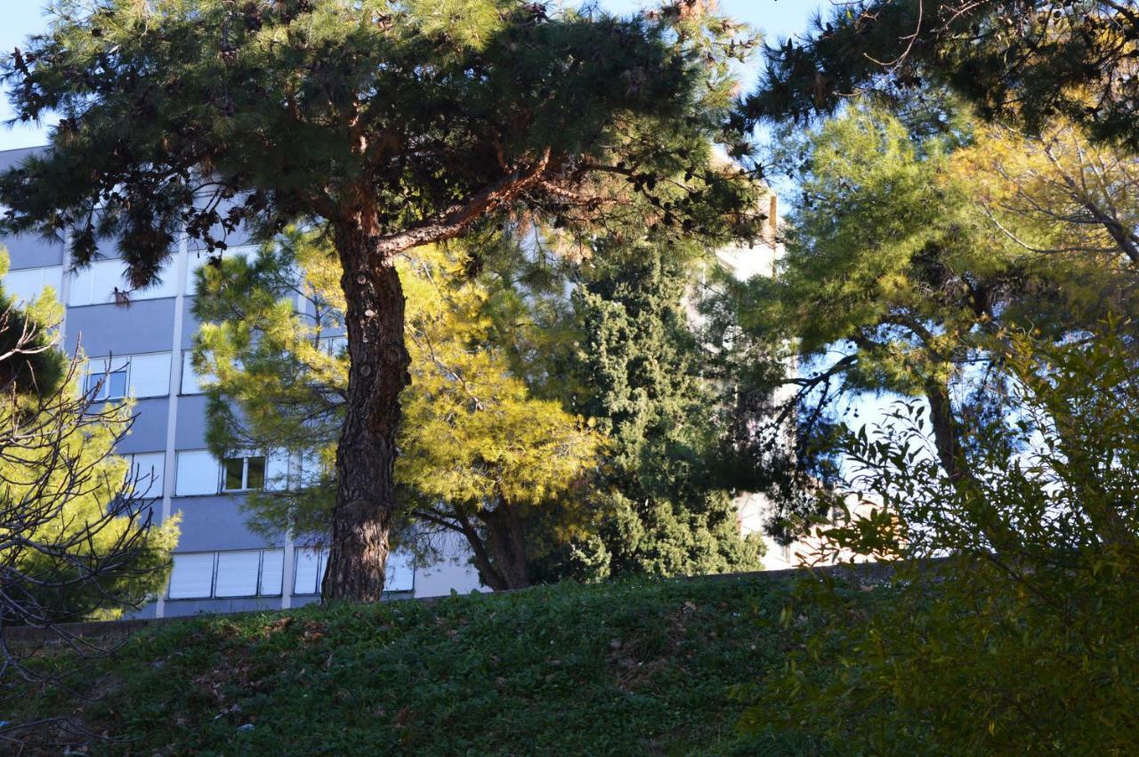 Studio Two Roses Apartment Split Bagian luar foto